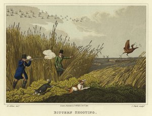Bittern Shooting by Henry Thomas Alken